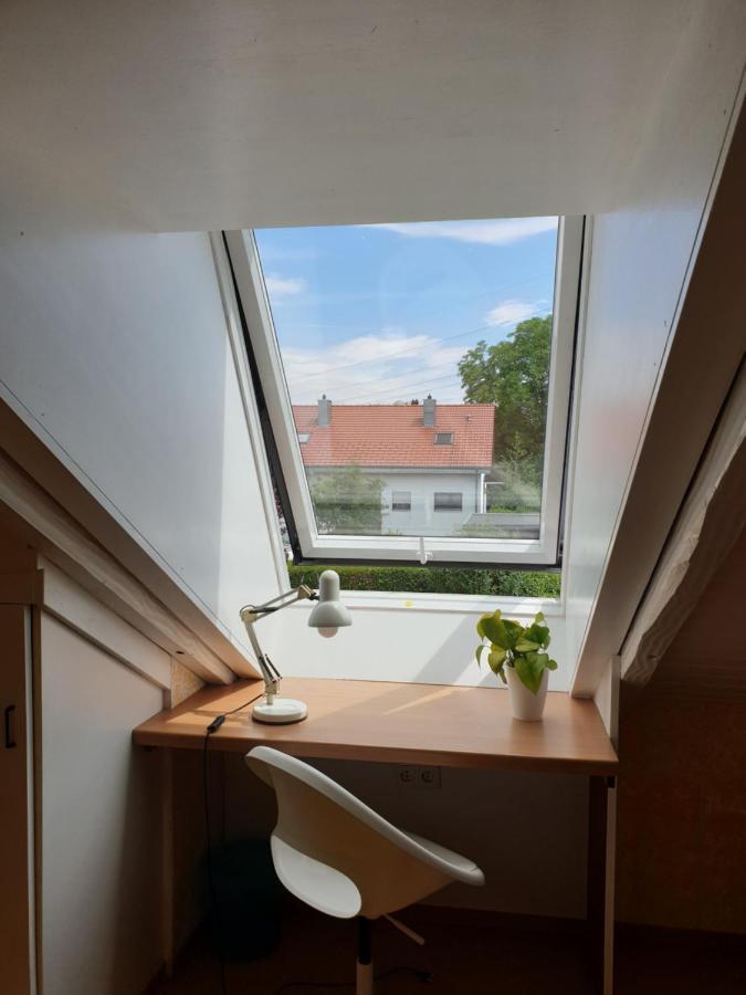 Sonnige Ruhige Dachzimmer Inkl Wifi Plus Kaffee Mit Wg Dusche Und Neuer Kueche Лёррах Экстерьер фото